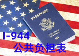 公共負(fù)擔(dān)I-944表格